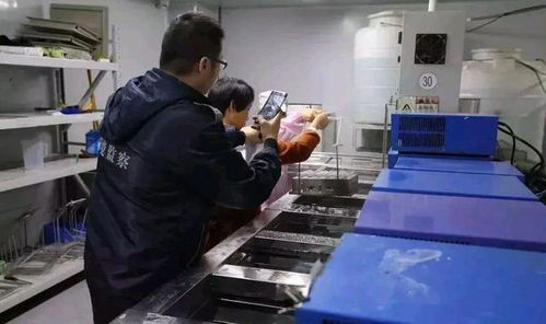 深圳環保消防嚴查風暴下，一家工廠的關閉與反思